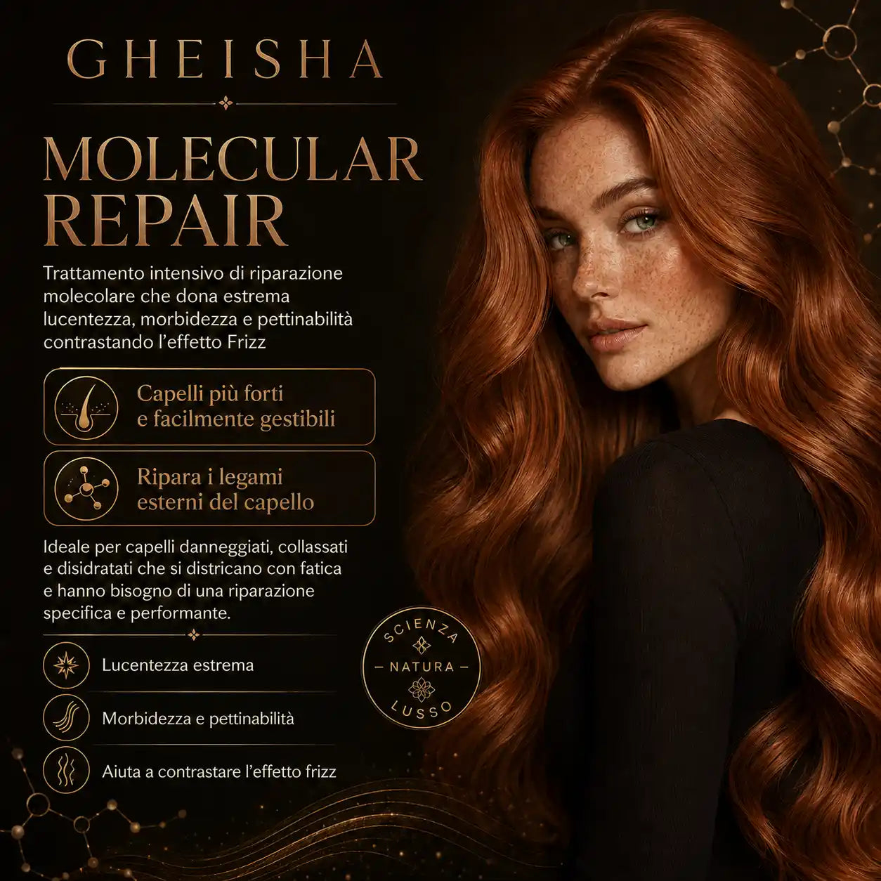Molecular Repair Gheisha